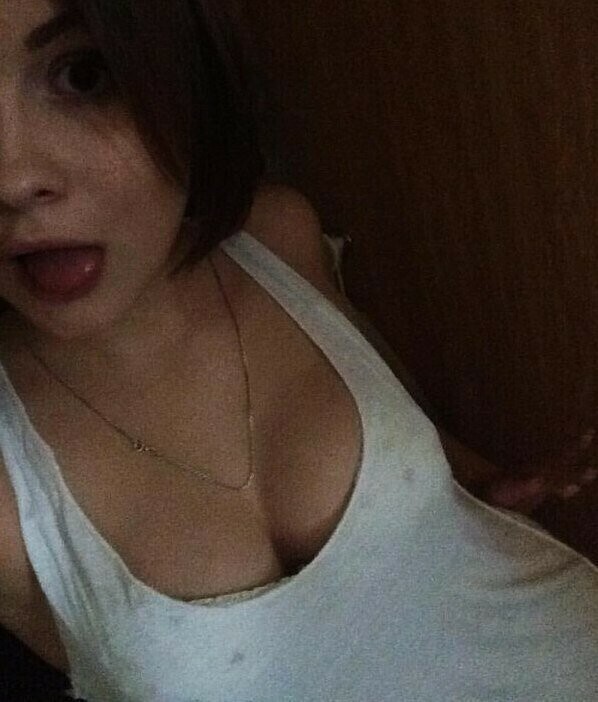 Самые обсуждаемые Сливы Шкодниц