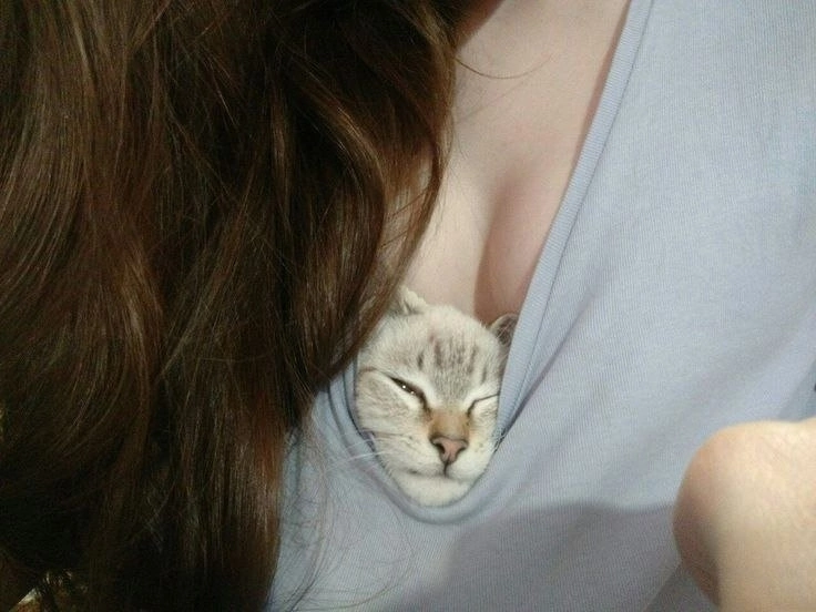 Новый слив Вписок! 📢