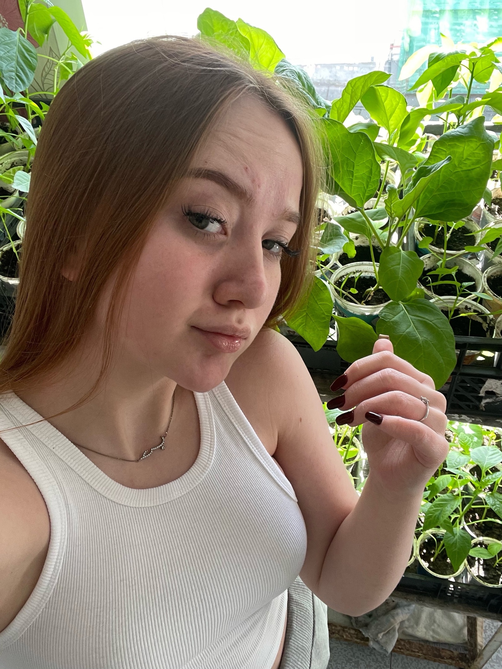 ТГ сливов — сливы ТГ, слив сливов ТГ, каталог каналов